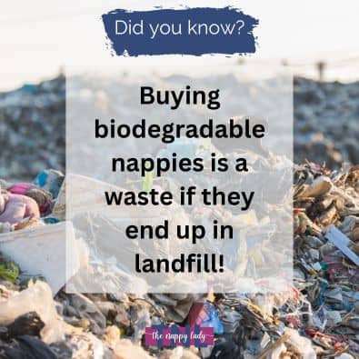 All Nappies Struggle To Biodegrade In Landfill